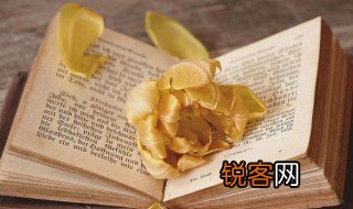 小天使是什么意思 小天使解释