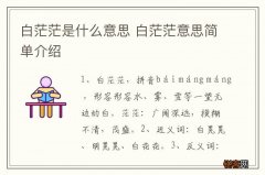 白茫茫是什么意思 白茫茫意思简单介绍