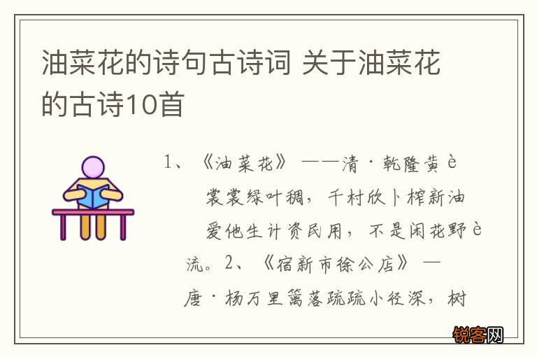 油菜花的诗句古诗词 关于油菜花的古诗10首