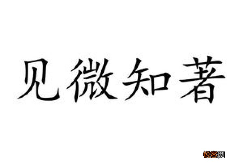 见微知著造句子