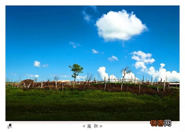 为什么感觉老年人的单反相机一个比一个高级？