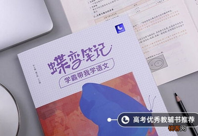 过年中国人的家国情怀话题作文800字