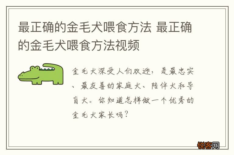 最正确的金毛犬喂食方法 最正确的金毛犬喂食方法视频