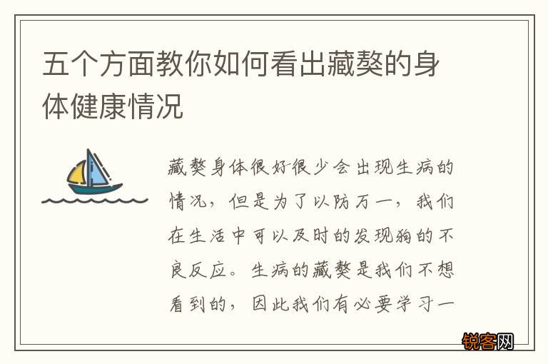 五个方面教你如何看出藏獒的身体健康情况