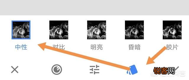 拍摄花朵,应该怎么搭配色彩？