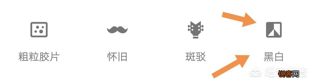 拍摄花朵,应该怎么搭配色彩？