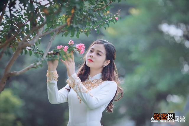 你认为,美学基础中的“色彩搭配”,可以应用到哪些艺术领域的创作当中呢？