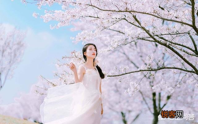 摄影时,怎么搭配色彩,可以让画面更“鲜活”？