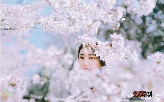 摄影时,怎么搭配色彩,可以让画面更“鲜活”？