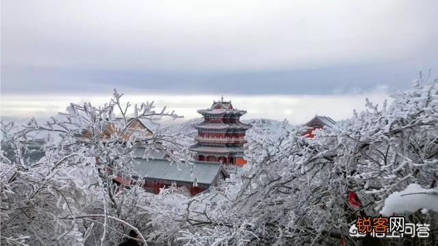摄影时,怎么搭配色彩,可以让画面更“鲜活”？