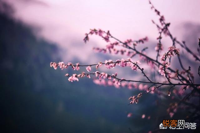摄影构图时,如何搭配好画面中的色彩？