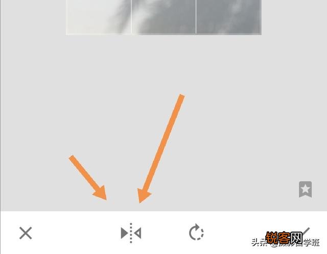 在家中摄影,咋能拍好花朵的照片?