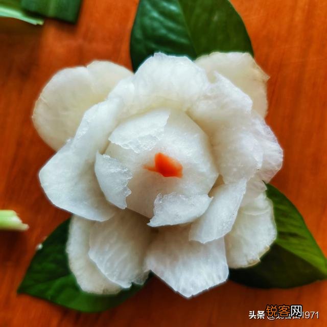 在家中摄影,咋能拍好花朵的照片?