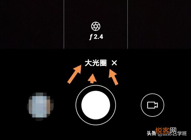 在家中摄影,咋能拍好花朵的照片?