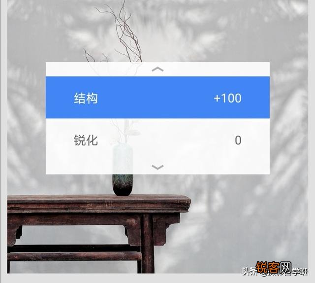 在家中摄影,咋能拍好花朵的照片？