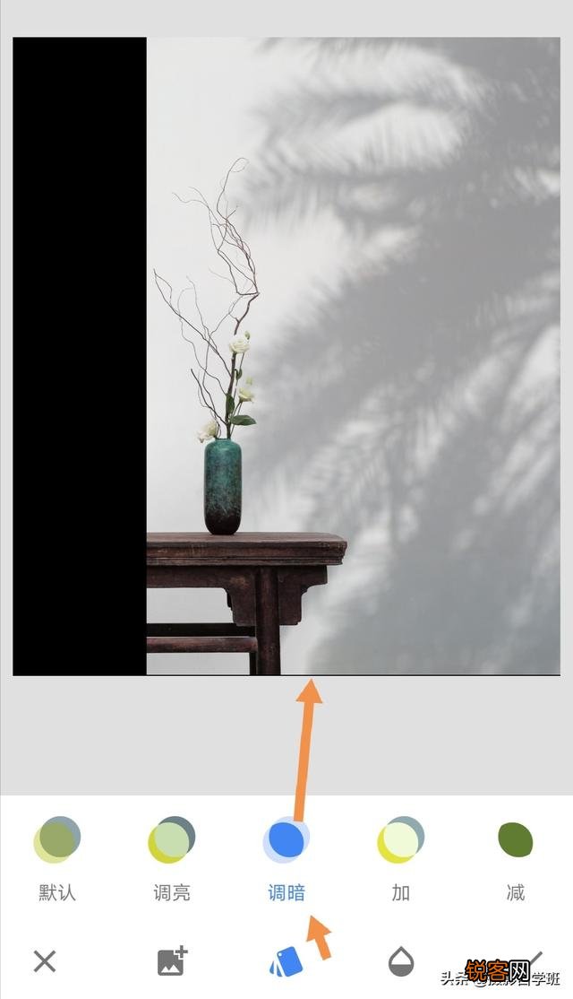 在家中摄影,咋能拍好花朵的照片？