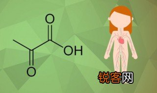 丙酮酸化学式 丙酮酸有什么用