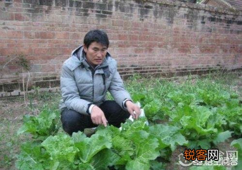 关于朱之文深夜发文要退圈事件,你怎么看？