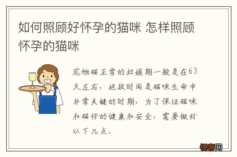 如何照顾好怀孕的猫咪 怎样照顾怀孕的猫咪