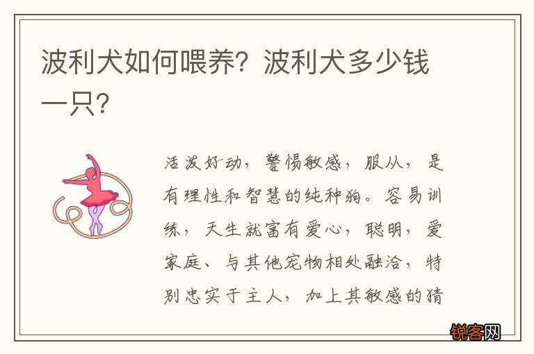 波利犬如何喂养?波利犬多少钱一只?