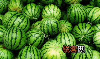 夏天圆圆的东西有什么? 夏天圆圆的东西分别有什么