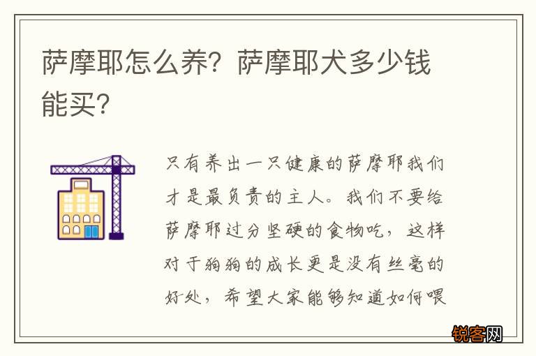 萨摩耶怎么养？萨摩耶犬多少钱能买？