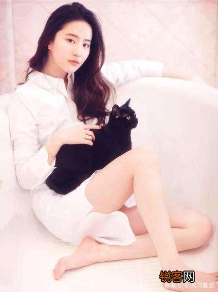 林志玲号称“台湾第一美女”,那么在大陆能排第几？大家怎么看？