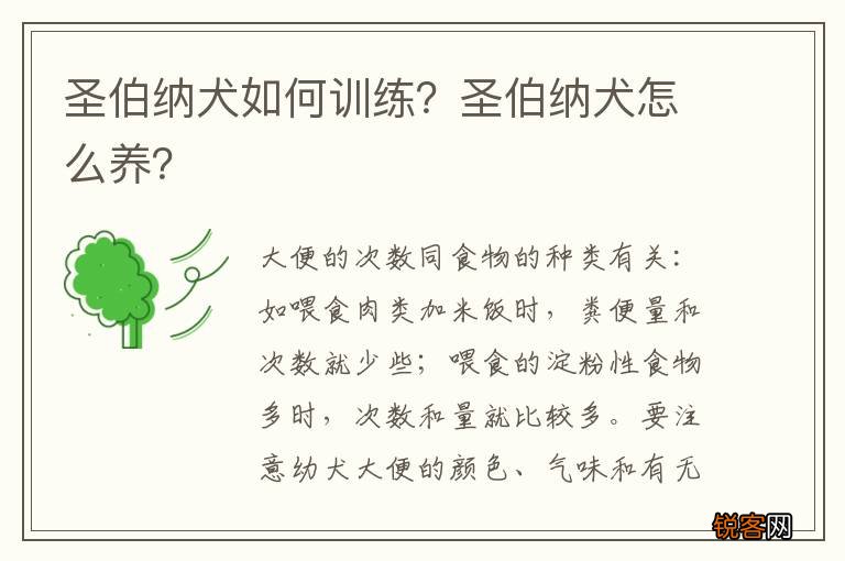 圣伯纳犬如何训练?圣伯纳犬怎么养?
