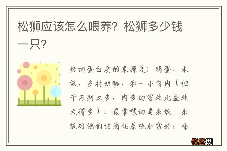 松狮应该怎么喂养?松狮多少钱一只?