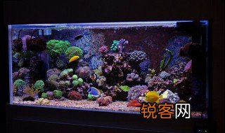 底面积乘高等于什么 底面积乘高是什么体积的计算公式