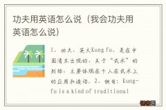 我会功夫用英语怎么说 功夫用英语怎么说