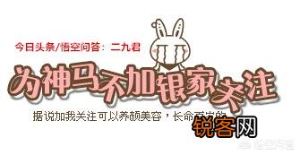 中国境内哪家图书出版社的书最好?