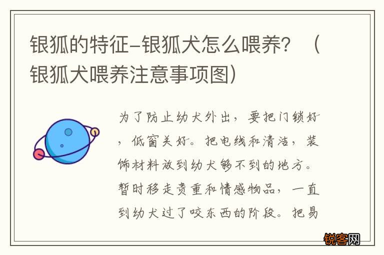 银狐犬喂养注意事项图 银狐的特征-银狐犬怎么喂养？