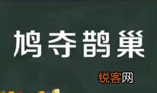 鸠夺鹊巢什么意思 鸠夺鹊巢怎么读