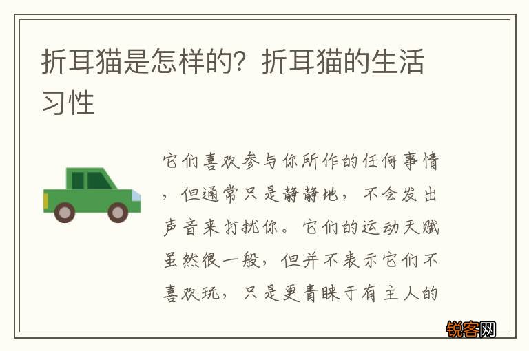 折耳猫是怎样的？折耳猫的生活习性