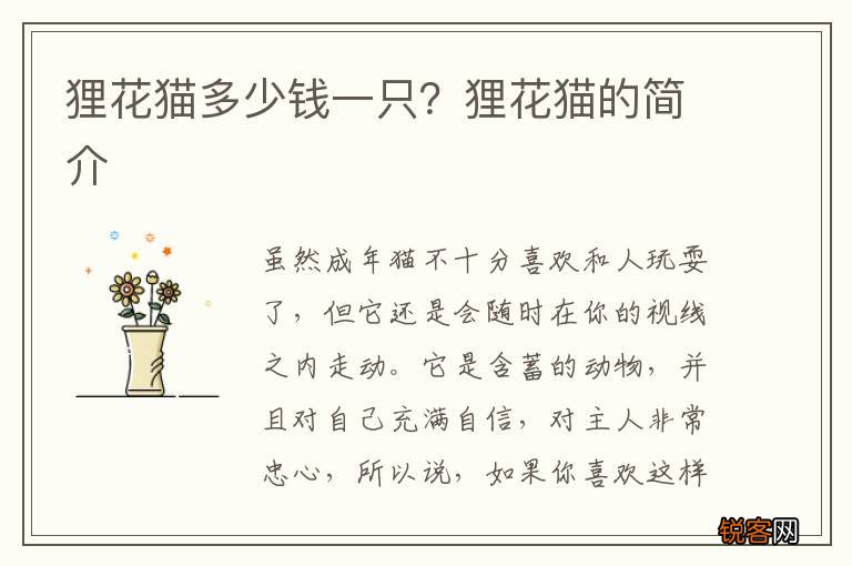 狸花猫多少钱一只？狸花猫的简介