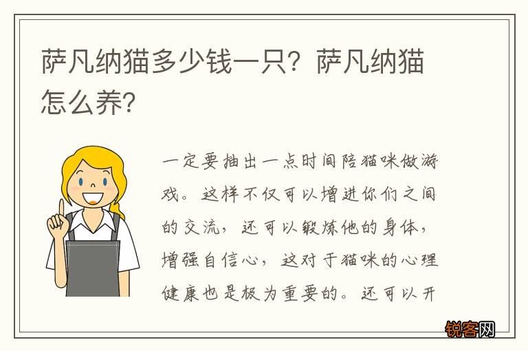 萨凡纳猫多少钱一只?萨凡纳猫怎么养?
