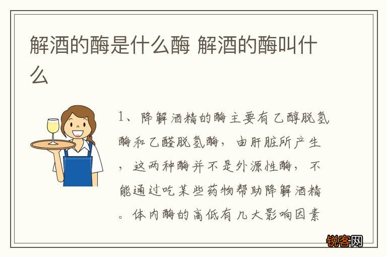 解酒的酶是什么酶 解酒的酶叫什么