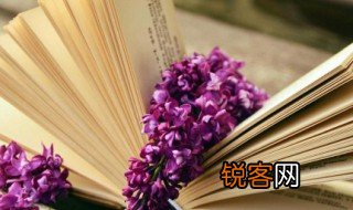 老鼠嫁女的故事主要讲了什么 老鼠嫁女的故事介绍