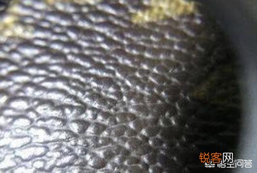 如何鉴别LV的真假？