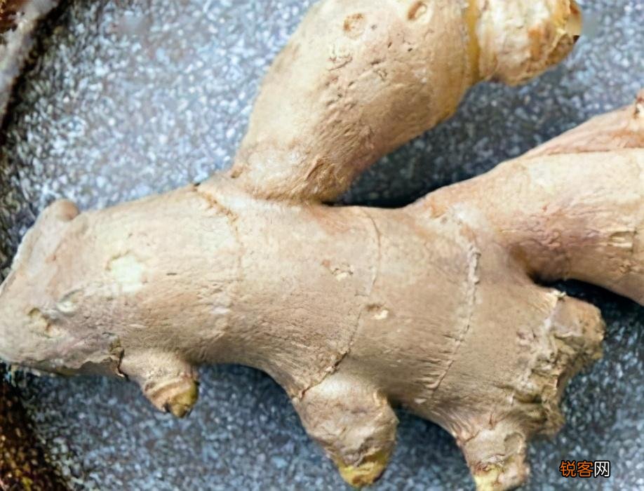 姜米茶的功效与作用 健脾胃去油脂