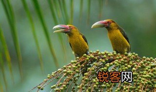 关于四月的散文 关于四月的散文是什么