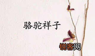 骆驼祥子家长感悟怎么写简单 骆驼祥子创作背景