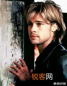 你认为莱昂纳多和布拉德皮特谁帅,谁的影响力更大？