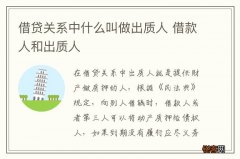借贷关系中什么叫做出质人 借款人和出质人