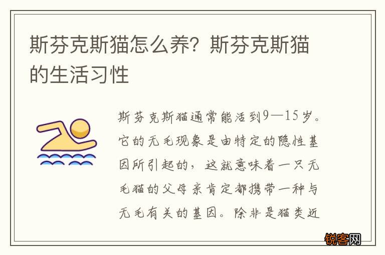 斯芬克斯猫怎么养？斯芬克斯猫的生活习性