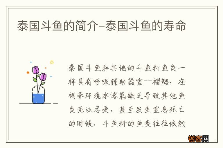 泰国斗鱼的简介-泰国斗鱼的寿命