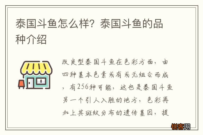泰国斗鱼怎么样？泰国斗鱼的品种介绍