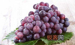 中国中原地区种植葡萄始于什么时期 中国中原地区种植葡萄始于那个时期