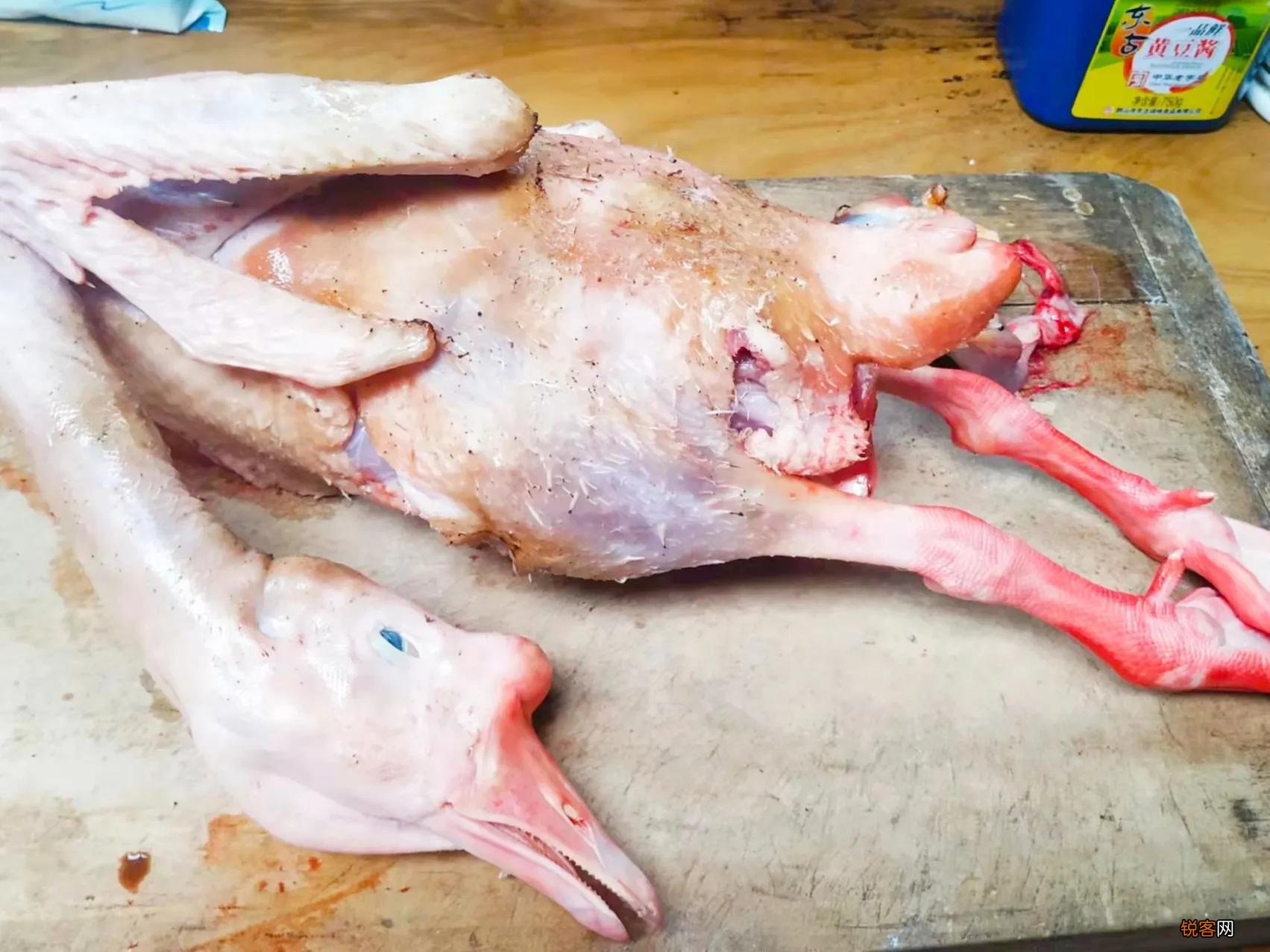 大鹅怎么炖才好吃 如何让鹅肉嫩而不柴